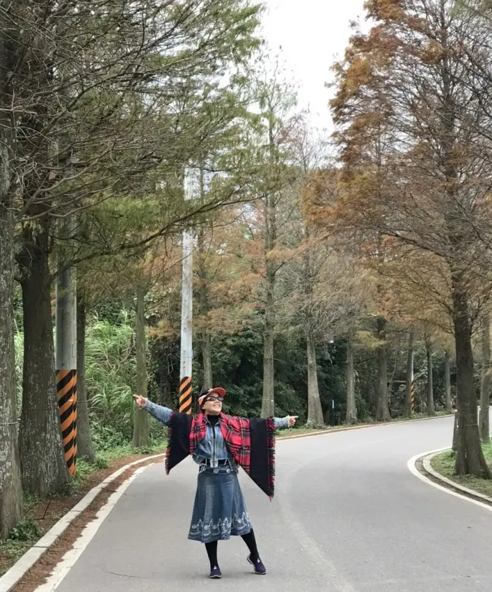 大溪景點-落羽松大道-錯過了陽光普照的燦爛金黃