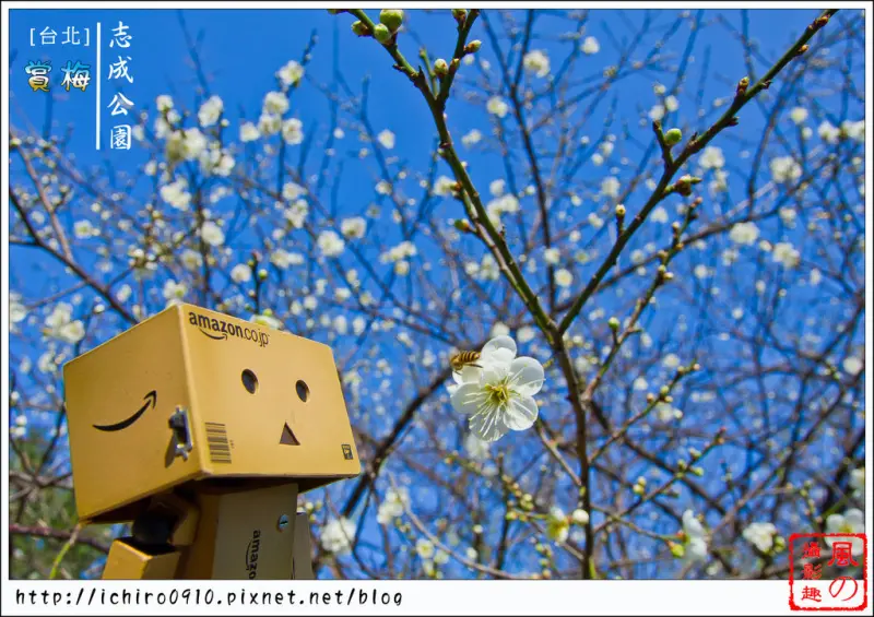 [賞花]【淡水線士林站】志成公園&士林官邸。台北首選賞梅花秘境