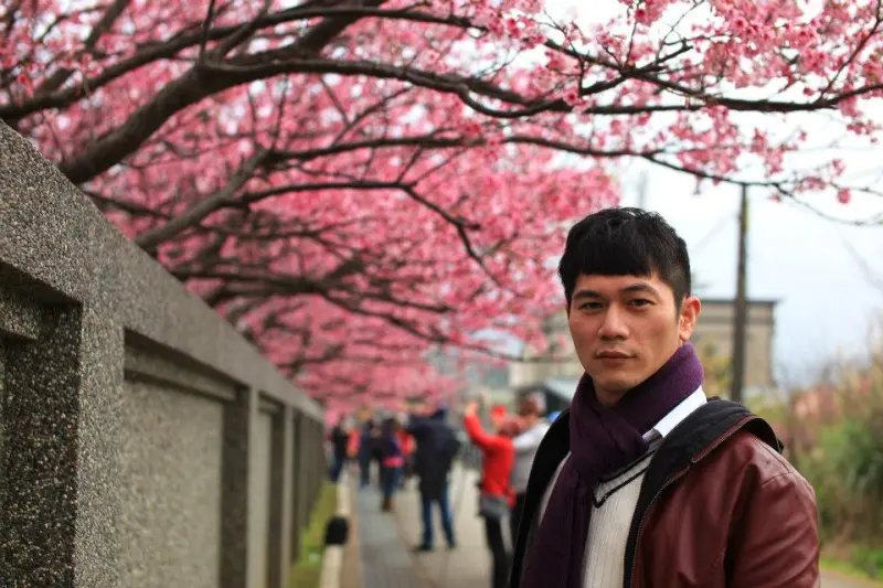 【台北。士林】輕旅行。武陵櫻花盛開之前,搶先看台北綻放的寒櫻。