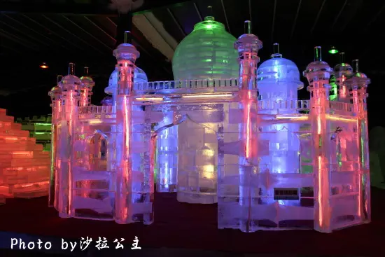 台北冰雪世界-世界七大奇景一次收錄【捷運：南港展覽館】