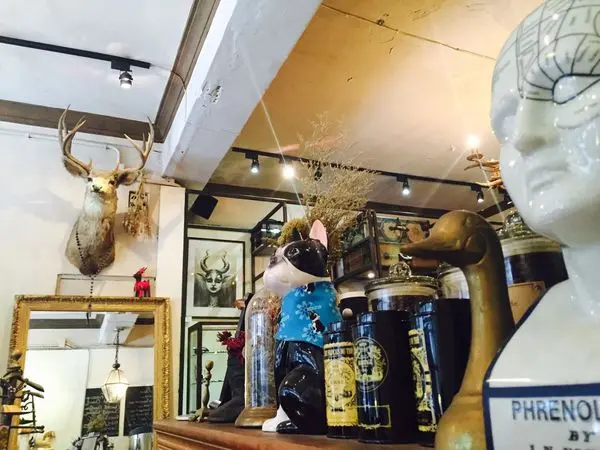 捷運中山站 ✿ Modern Mode & Modern Mode Café✿ 赤峰老屋演藝古典巴黎美~ 享受午後的黃金時光!