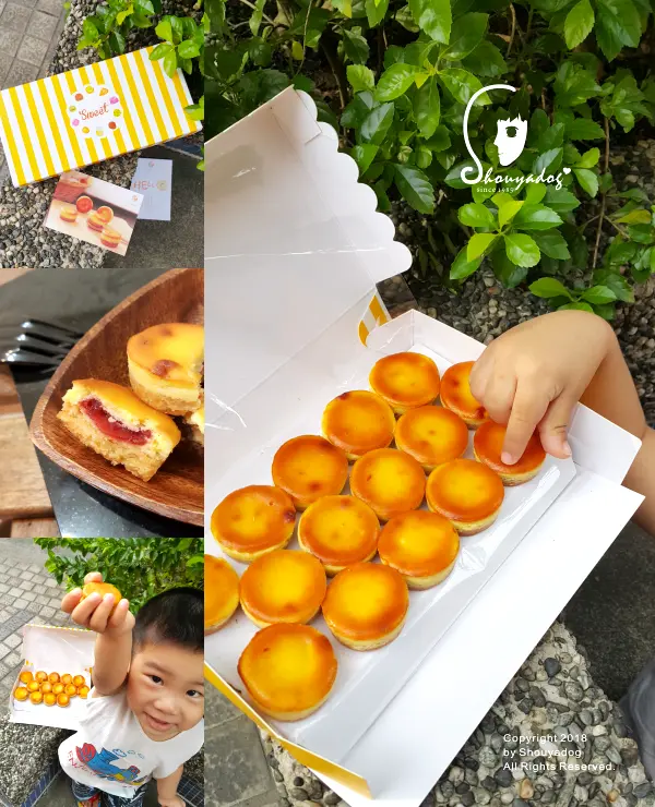 【蛋糕甜點】超可愛的野餐小甜心 Mini乳酪球 七個小日子 7 days 臺中十大伴手禮