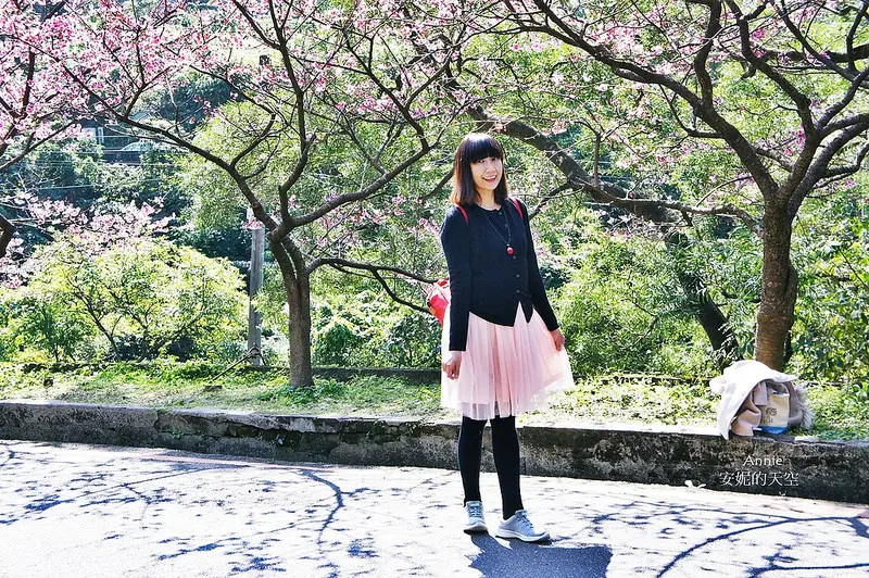 [新北市新店區 花園新城]來一場浪漫的粉紅漫遊   2017烏來櫻花花況  順遊景點屈尺公園櫻花也滿開