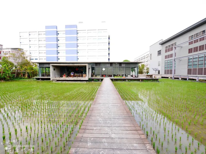 【苗栗-苑裡鎮】稻浪中的自然教室「有機稻場」