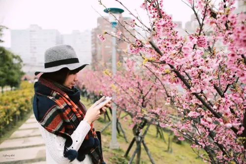 初春的隨意遊蕩