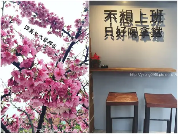 【內湖遊記】東湖樂活公園賞櫻去(20160221花況)&不想上班只好喝拿鐵！