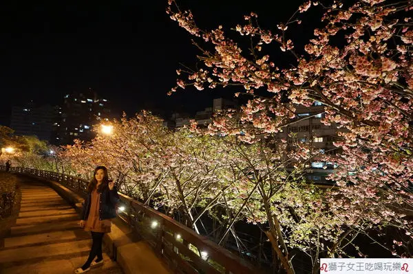 (台北●東湖)東湖樂活櫻花季~光櫻燦爛~2018樂活夜櫻季~2/3開幕式~3/3城市櫻花音樂會