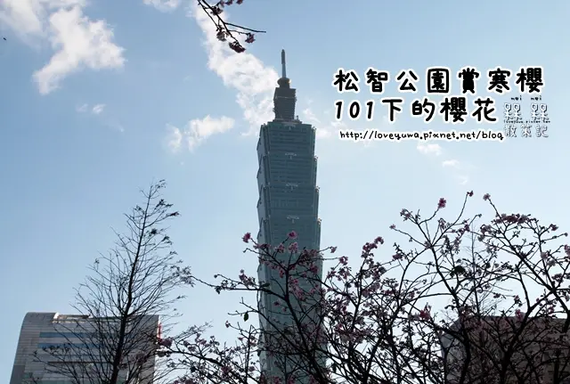 【台北◍•ᴗ•◍信義】景點・101下的櫻花-松智公園賞櫻｜101下粉嫩寒櫻綻放!!(2/13花況)｜坐落於城市中的賞櫻景點-捷運市政府站｜2016台灣賞櫻｜松智廣場｜松智路1號101與櫻花｜台北賞櫻地