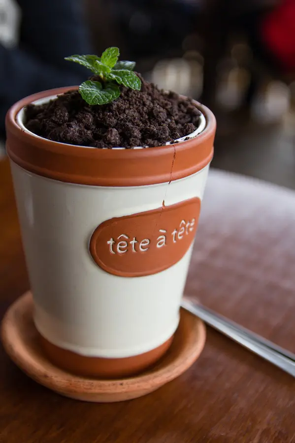 天生澳克Jacaranda 美味帕里尼        
      