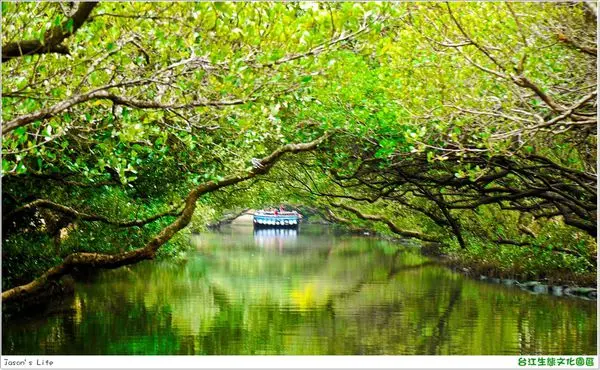 【台南│景點】台灣版亞馬遜河。台江生態文化園區(竹筏&觀光船)