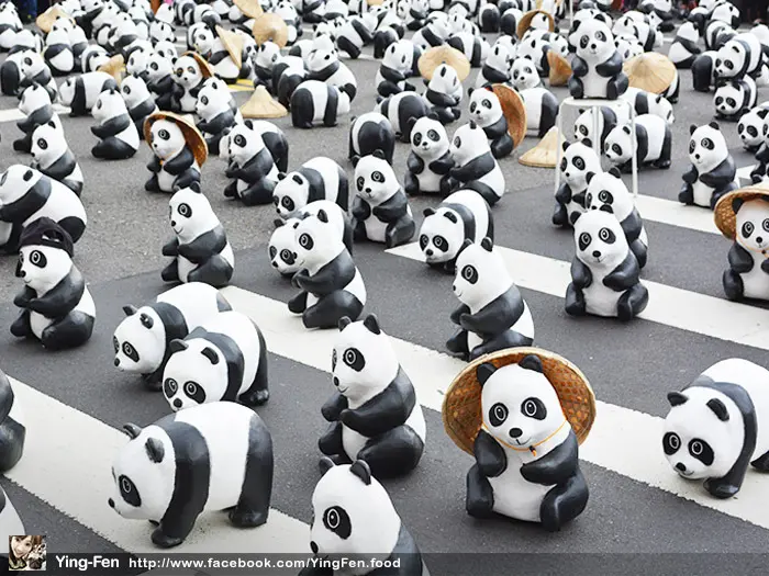 ❤1600貓熊世界之旅-台北市政府廣場