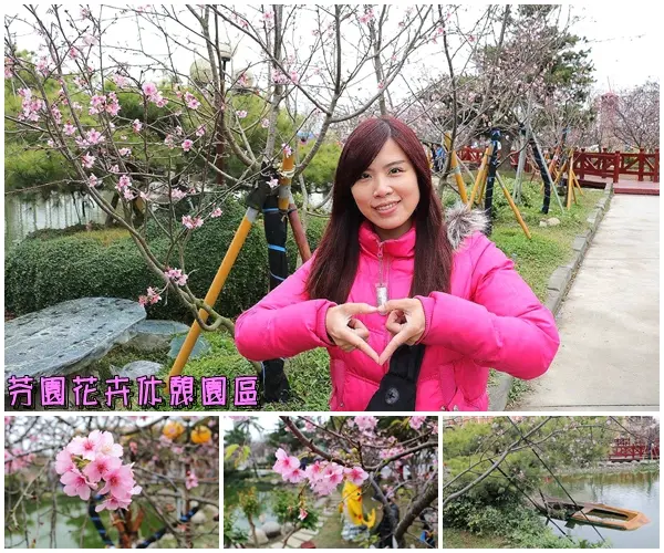 【彰化景點】芬園花卉休憩園區~櫻花園區/夜櫻賞櫻花綺麗夢2/11~3/15的賞花園區        
      