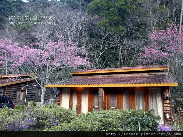住。台中。武陵農場國民賓館楓林木屋&文康館雙人林間木屋
