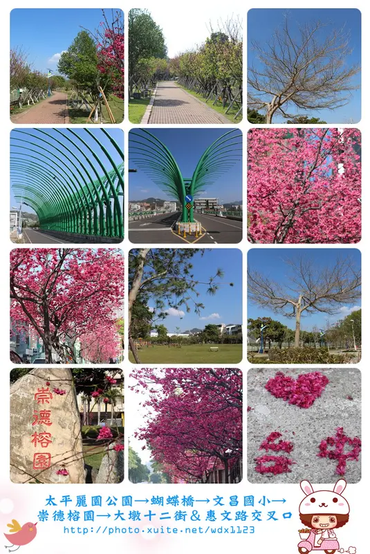 2014台中賞櫻景點大集合~103.02.25        
      
