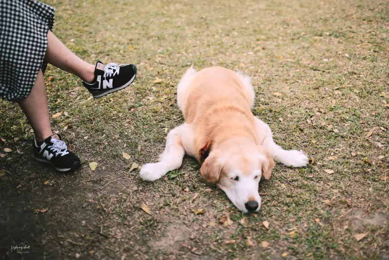 那晴耕雨讀小小野放