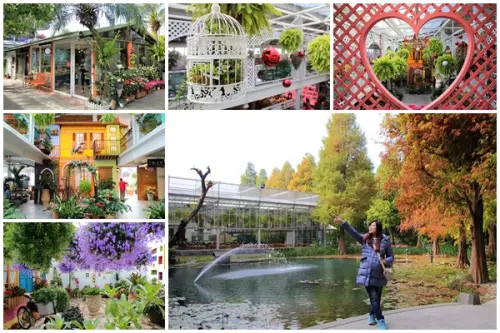 【彰化田尾景點】菁芳園~夢幻浪漫花房如婚紗棚內場景，池畔玻璃溫室餐廳，水漾落羽松季節限定，如置身異國歐洲般的美景        
      