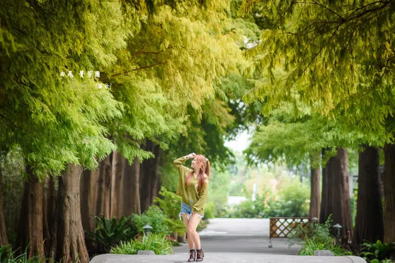 彰化田尾景點》菁芳園 彰化落羽松祕境 浪漫的療癒花園 森林咖啡廳 情侶約會景點 偶像劇拍攝現場 - 滿分的旅遊札記