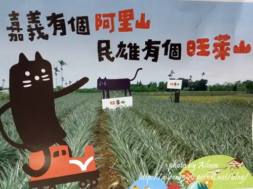 [試吃] 有得過獎的土鳳梨酥之民雄有個旺萊山