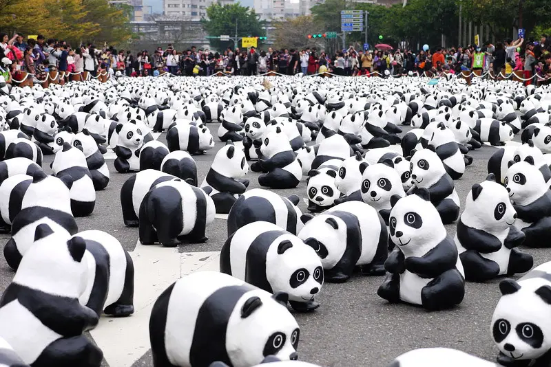 【台北】1600貓熊世界之旅 - 台北　● 與野生動物保育大使的貓熊一起重視生態保育、一起愛地球