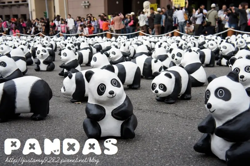 遊記 ☞ 臺北市政府廣場 ▍護目鏡準備好!!! 1600隻紙貓熊朝你發射『萌』電波~~~ ▍超卡哇伊❤