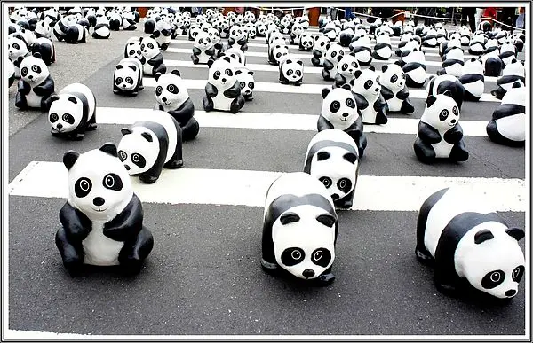 1600貓熊世界之旅~療癒系胖達萌翻市政府廣場[展期2/28~3/9]