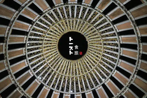 夜遊嘉義 | 森林之歌 x 月影潭心，造訪璀璨的桃城夜景