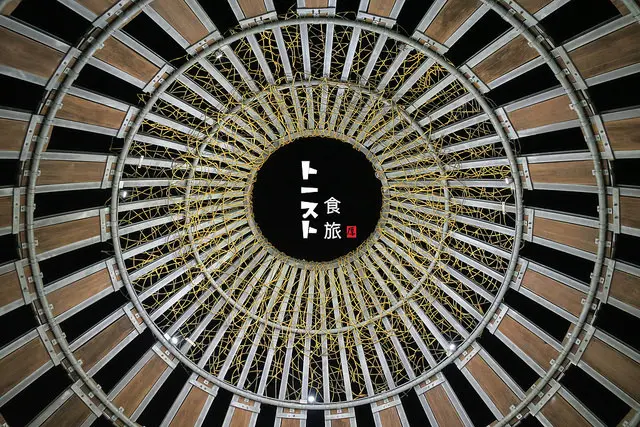 夜遊嘉義 | 森林之歌 x 月影潭心，造訪璀璨的桃城夜景