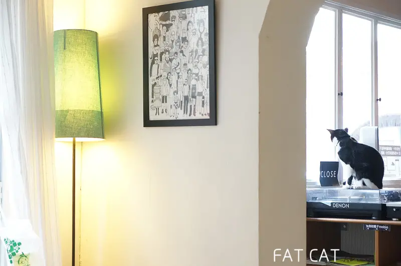 [台南‧Fat Cat Deli] 獨立音樂和三隻肥貓的空間