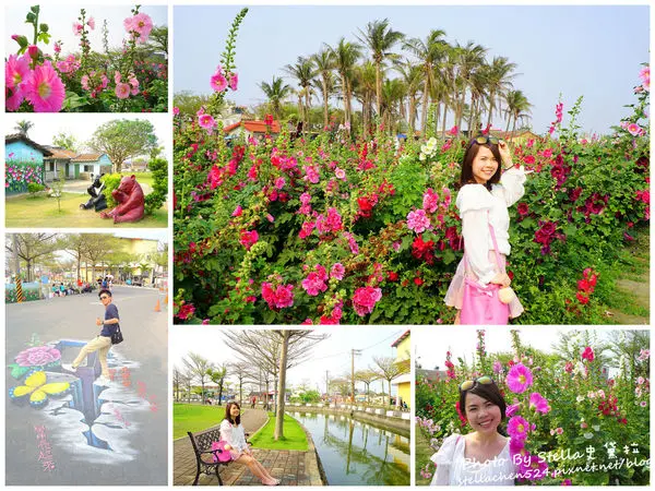 【台南-學甲】漫步在繽紛盛開的蜀葵花海裡★台南/學甲蜀葵花/學甲景點/台南景點/台南賞花