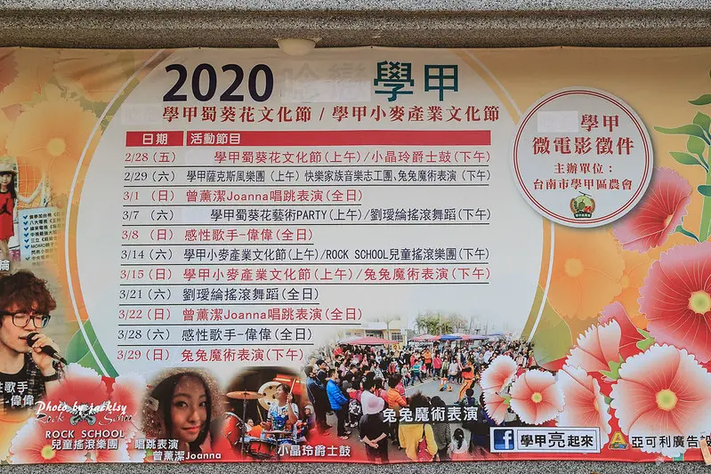 200321台南-學甲蜀葵花海