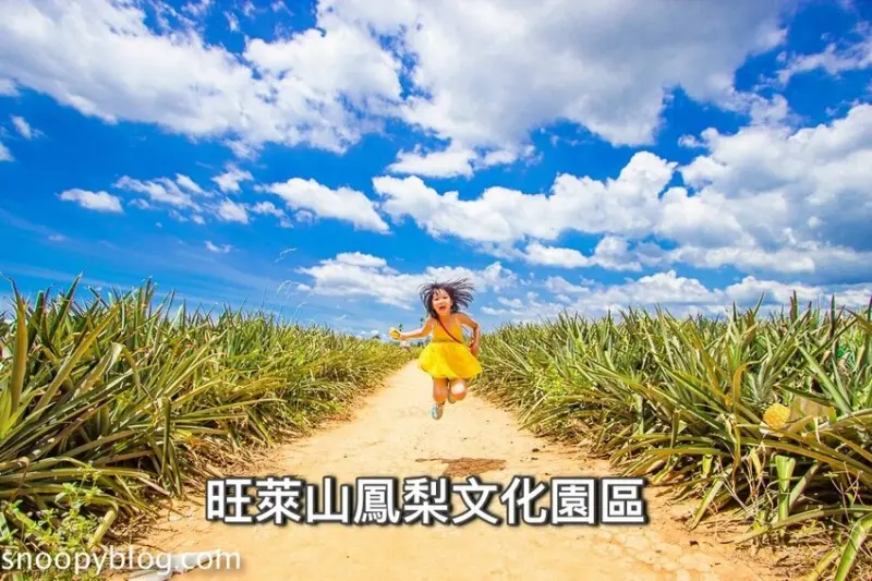 【嘉義民雄景點】旺萊山鳳梨文化園區～超佛心免門票、免費停車、免費試吃鳳梨酥，還有超好拍的鳳梨田