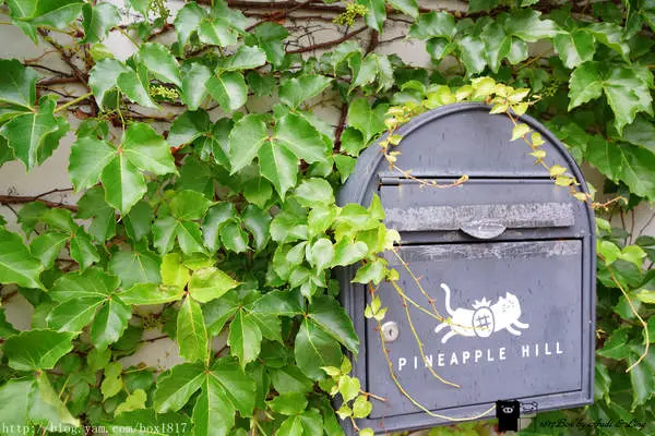 【嘉義。民雄】PineApple Hill 旺萊山鳳梨酥。鳳梨田觀光工廠