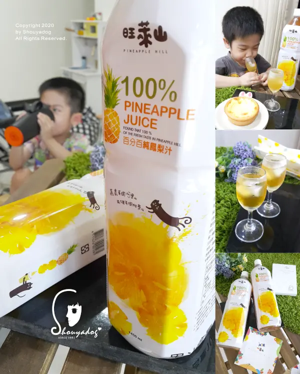 【天然果汁】嚴夏必備消暑飲品 來自嘉義民雄的旺萊山百分之百鳳梨汁 清涼特調
