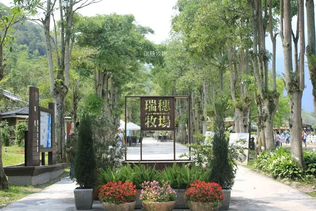 花蓮。瑞穗。空氣中飄散的淡淡乳香 / 瑞穗牧場