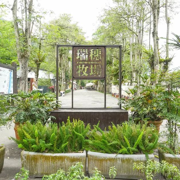花蓮旅遊。瑞穗牧場  免門票入園的寵物友善景點  看乳牛必喝濃醇鮮奶