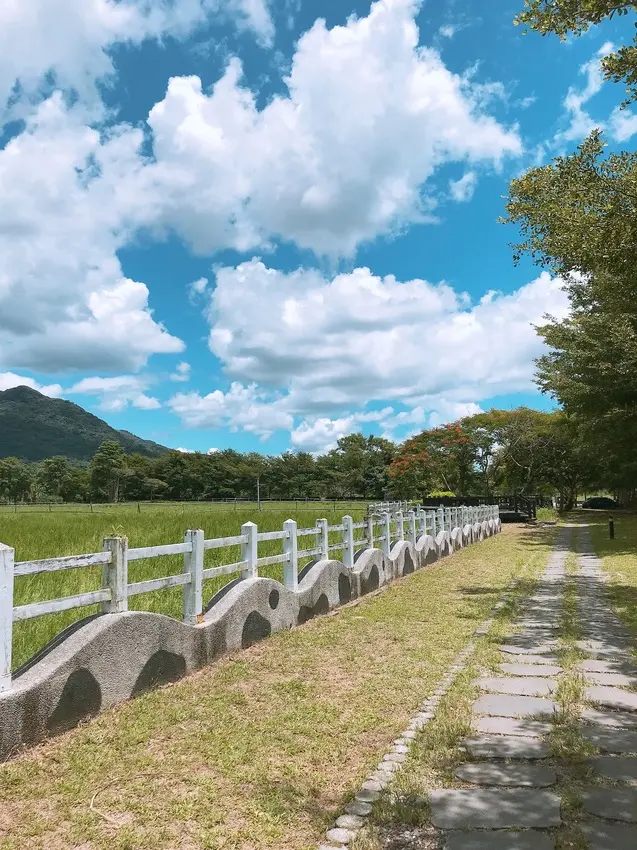 花蓮瑞穗牧場~品嚐純正鮮奶、牧草親餵乳牛