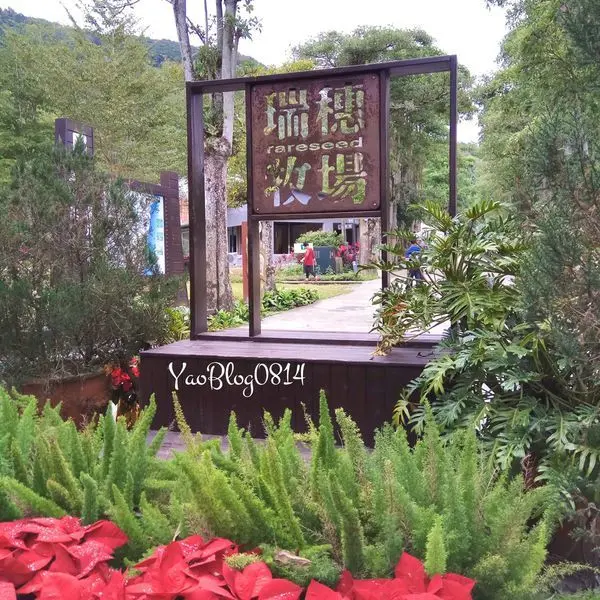 【花蓮瑞穗│景點】瑞穗牧場＊藍天綠草乳牛群 免費入園享受濃郁乳香