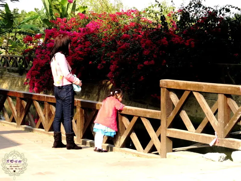 2014.02.22 -【高雄】舊鐵橋濕地公園