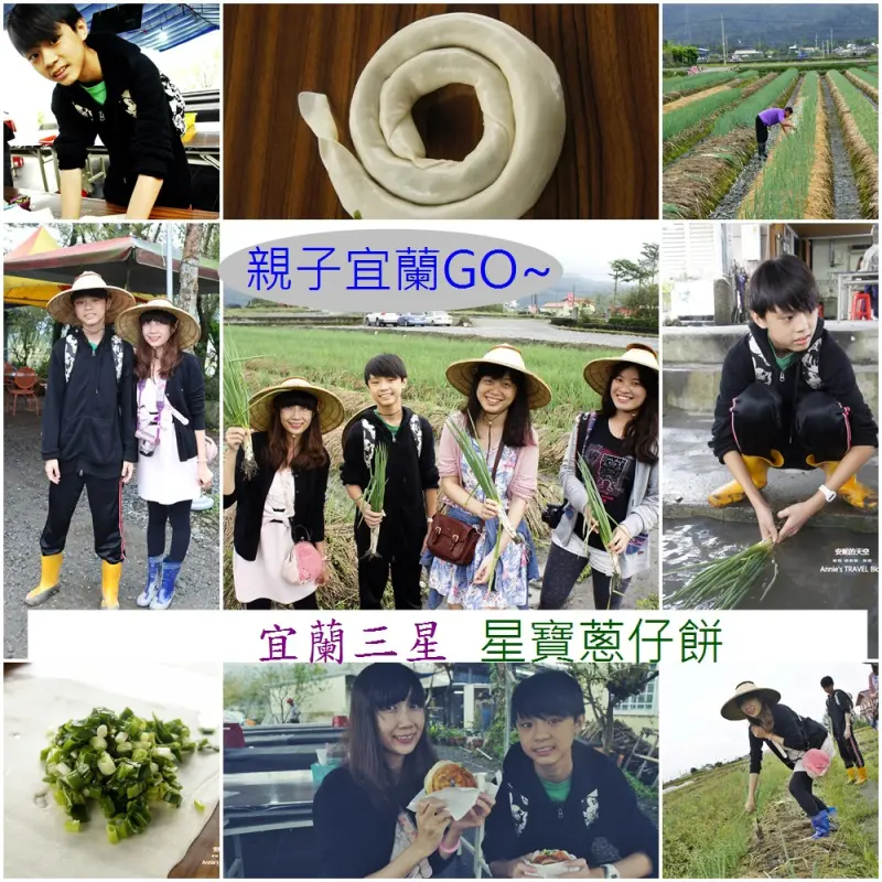 [宜蘭 三星鄉 星寶蔥仔餅農場] 拔蔥洗蔥初體驗 蔥油派DIY特別又好吃喔