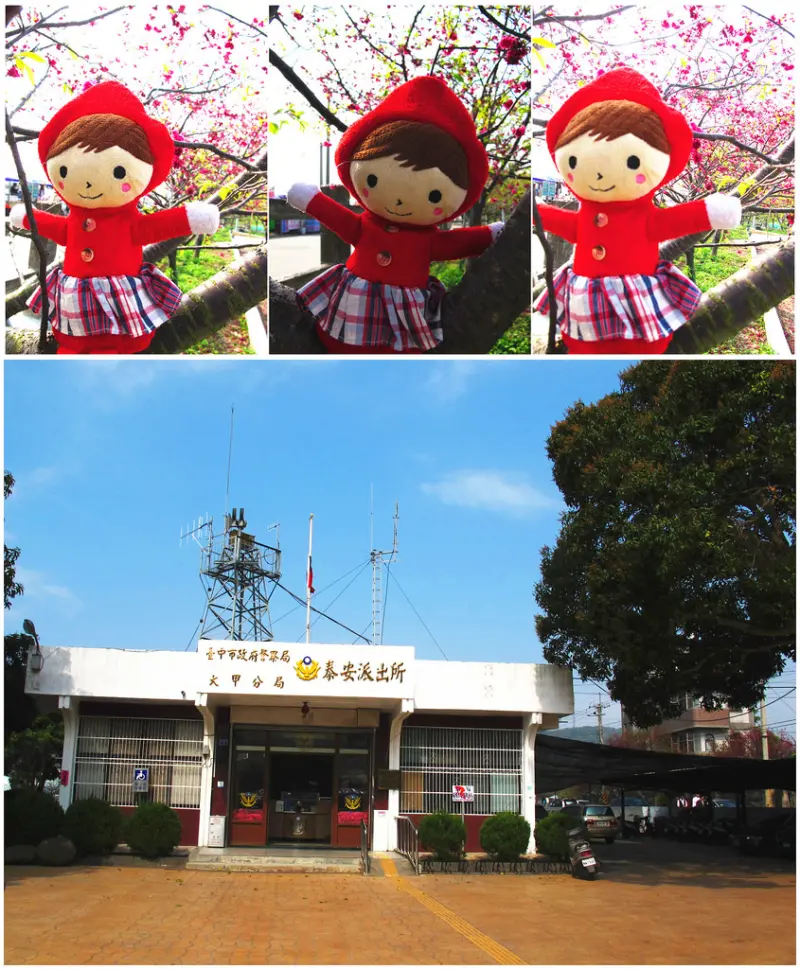 140321{企七逃}全國最美泰安派出所賞櫻去....泰安舊車站充滿懷舊小鎮氣息...