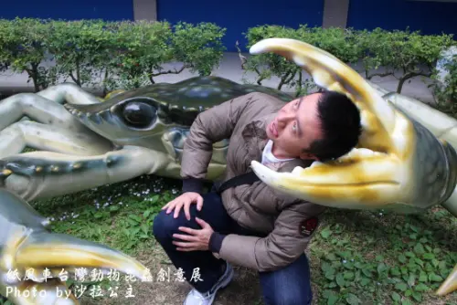 延展至6/18號：紙風車台灣動物昆蟲創意展-親愛的我把你變小了【明倫國小】免費參觀