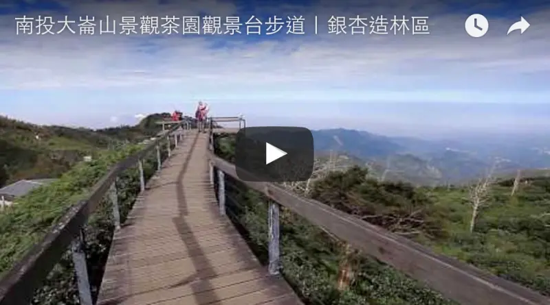 大崙山景觀茶園觀景台步道