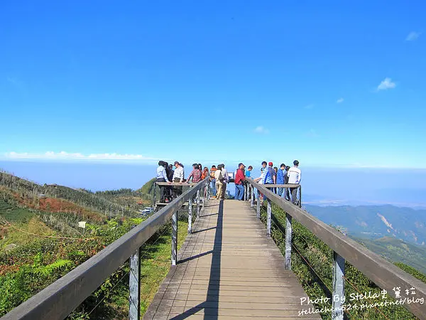 【南投-鹿谷】不思議!!發現台灣之美@大崙山觀光茶園銀杏林