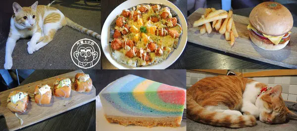 呷飽祙【新北板橋･猜咖啡】店貓與創意美食底家              