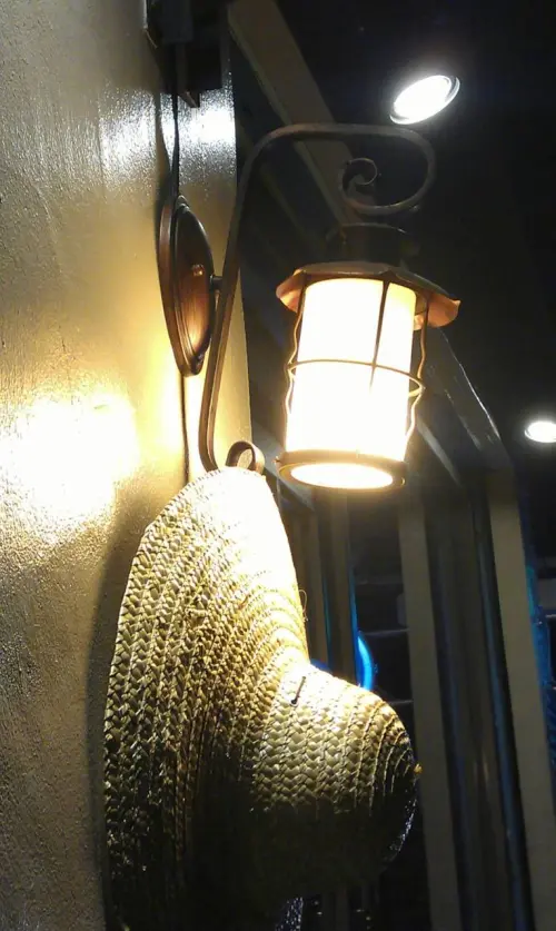 我願意為他吃素！