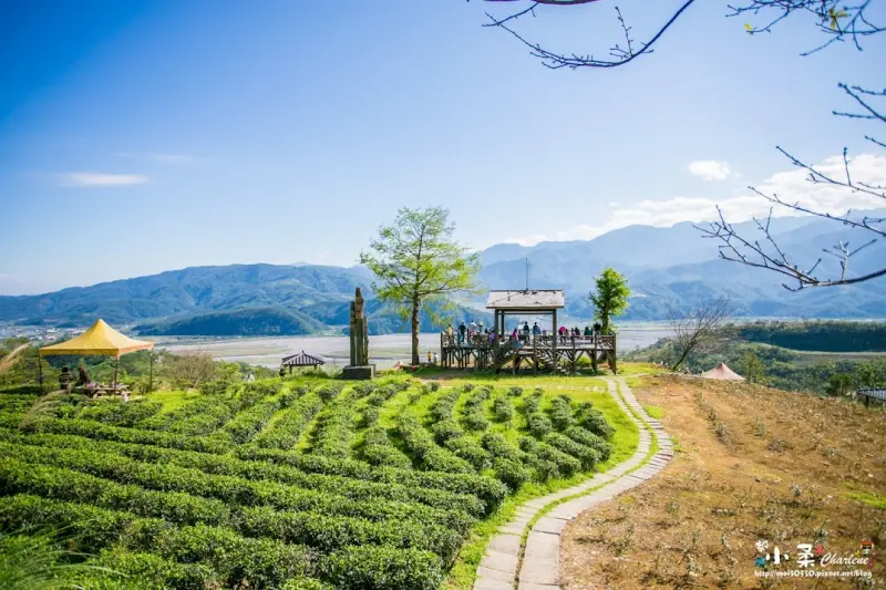 【宜蘭大同】太平山下「玉蘭茶園」蘭陽十八景之一~茶餐、茶粿、茶燻蛋~美食品茗+美景相伴好幸福~冬季賞櫻、晚上看夜景的好地方!