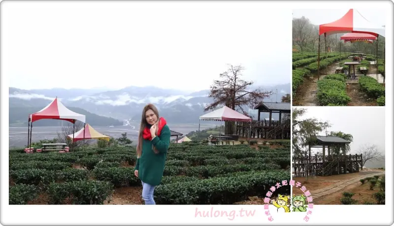 茶與櫻花的交織~蘭陽十八景【玉蘭茶園】品茶.雲霧仙境.賞夜景! - 虎虎龍龍*珍太妃