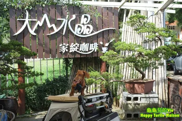 ∥龜龜泡咖啡∥南投 魚池 ~家綻咖啡/18號茶舖~ 三育基督書院旁 有意境的小天地