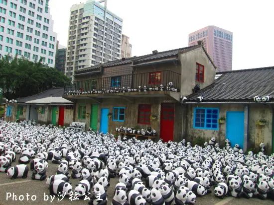 1600隻貓熊快閃活動紀錄(四四南村)
