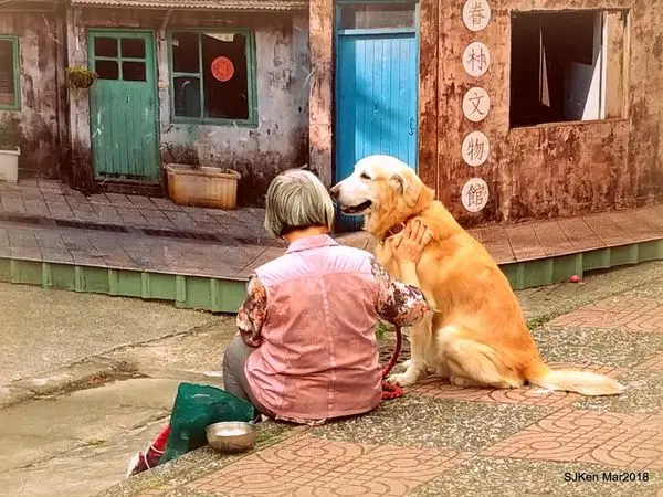 (台北捷運淡水信義線臺北101/ 世貿站周邊景點)四四南村信義公民會館/眷村文化公園/簡單市集 --- 台北小鄉村，假日輕鬆遊